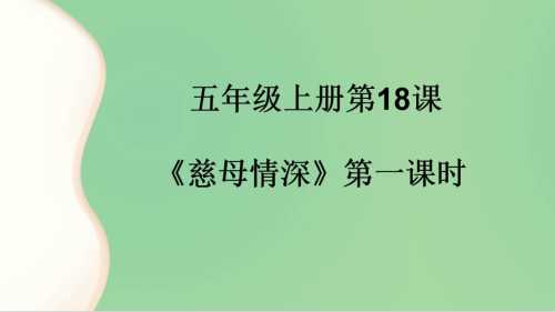 统编小学语文五上 12.《古诗三首：示儿》王老师—优质课（课件+教案）优质课教学视频.mp4