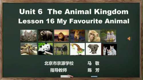 01－北师大版七下Unit6 The Animmal Kinglom Lesson 16 My Favourite Animal考研课教学视频,学习共同体之七年级英语教研活动.mp4